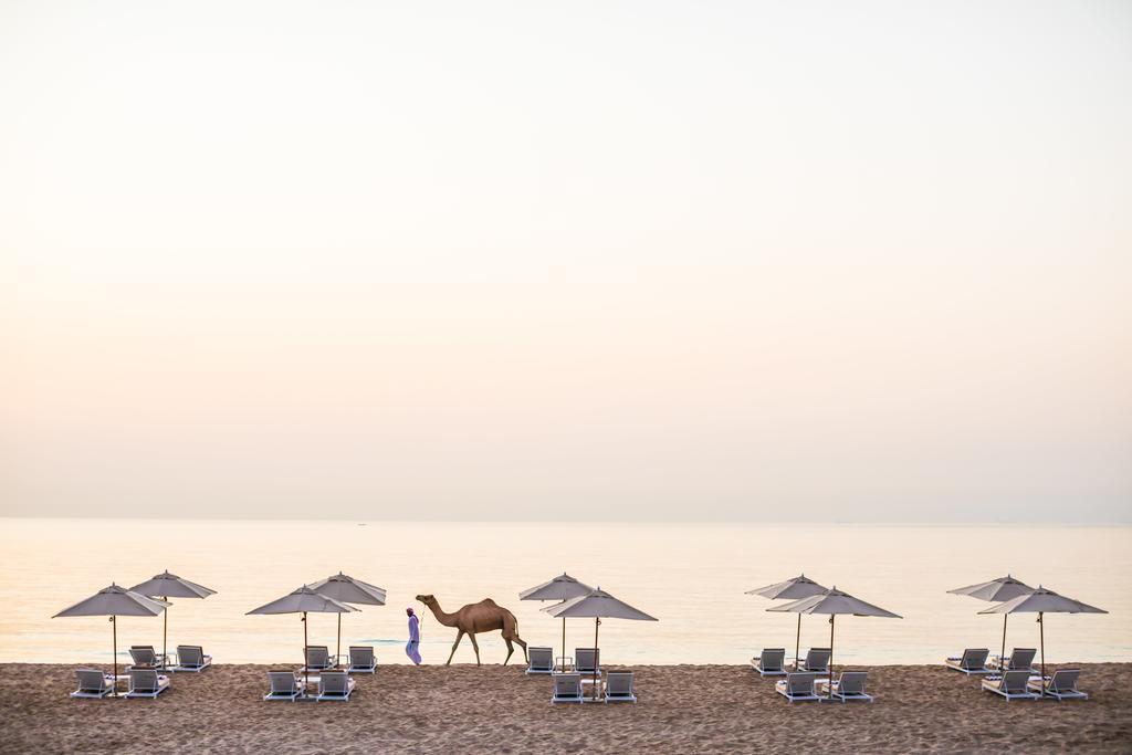 InterContinental Fujairah Resort, An IHG Hotel - thumb 2