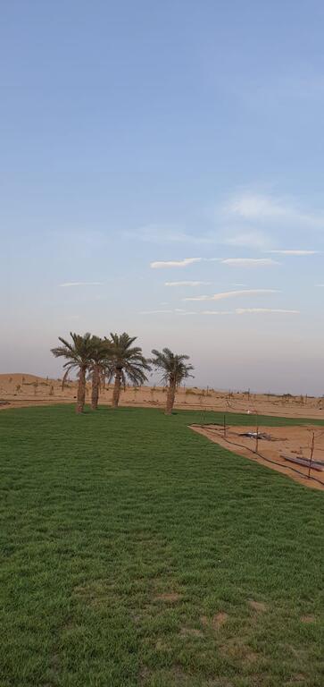 Al Khateem Art Hub - thumb 3