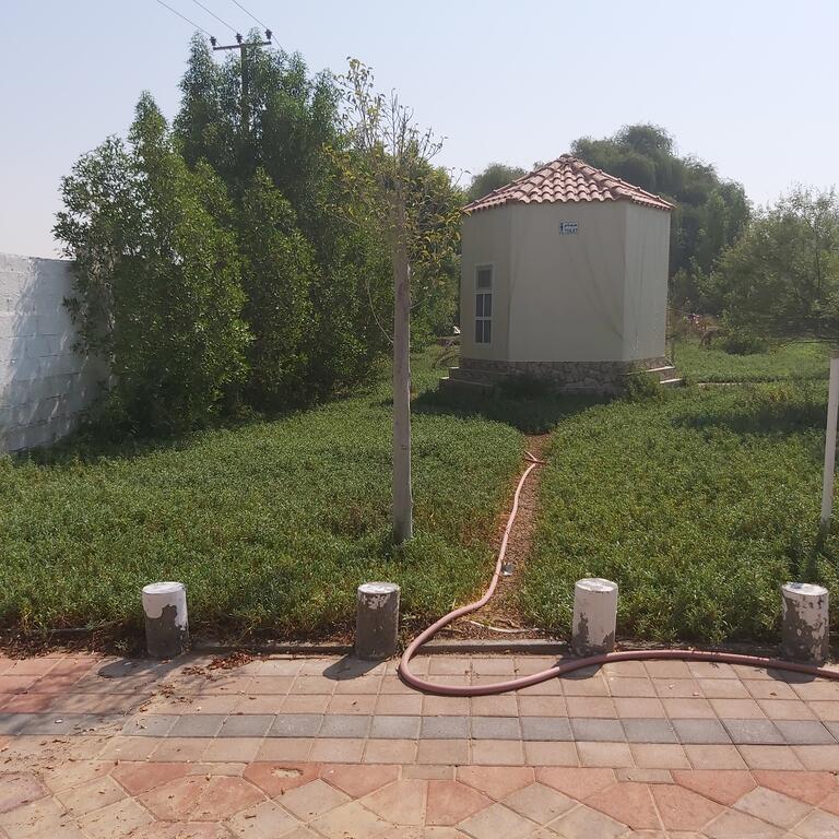 Al Maha Farm - thumb 9