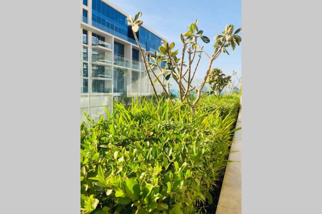 Apartment Saadiyat Island Abu Dhabi - thumb 4