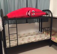 Bed in dormitory - Accommodation Dubai