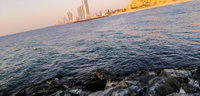Delightful Retreat With Pool Close To The Beach Accommodation Dubai