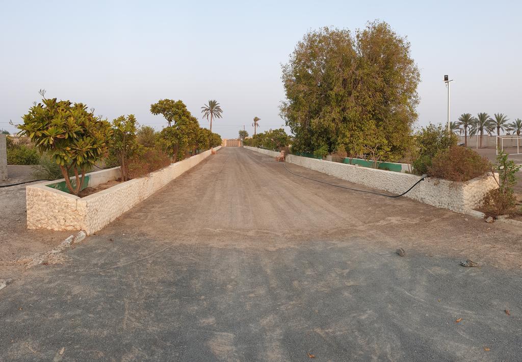 Farm Aldhaid Ù…Ø²Ø±Ø¹Ø© - thumb 0