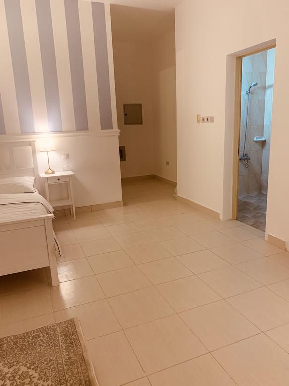 One Bedroom Appartement - thumb 6