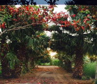 Revaloo farm Family Only Accommodation Dubai