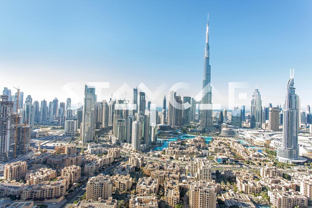 Staycae Distinction - thumb 6