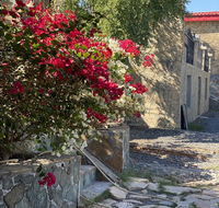 UAE farm - Accommodation Dubai