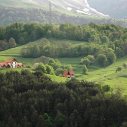 Dilijan Accommodation Dubai