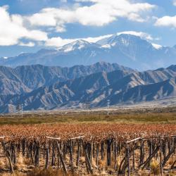 Mendoza Province Accommodation Dubai