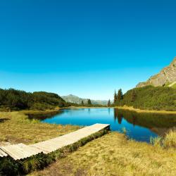 Montafon Accommodation Dubai