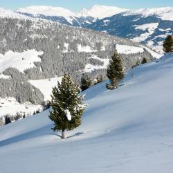 Zillertal Accommodation Dubai