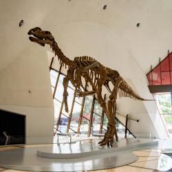 National Museum of Australia, Canberra Accommodation Dubai