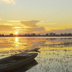 Pantanal Accommodation Dubai
