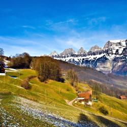 Gstaad Saanenland Accommodation Dubai