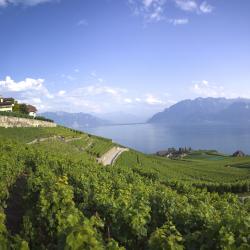Lake Geneva Accommodation Dubai