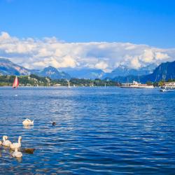 Lake Lucerne Accommodation Dubai