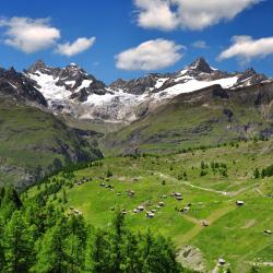 Swiss Alps Accommodation Dubai