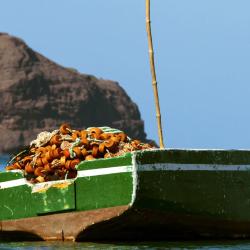 Sao Vicente Accommodation Dubai