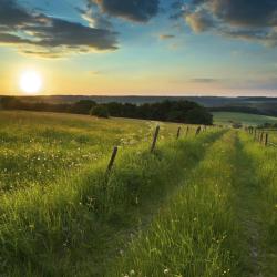 Eifel Accommodation Dubai