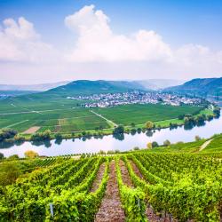 German Mosel Accommodation Dubai