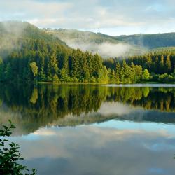 Harz Accommodation Dubai