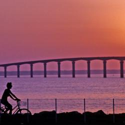 Island of Ré Accommodation Dubai