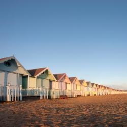 Essex Accommodation Dubai