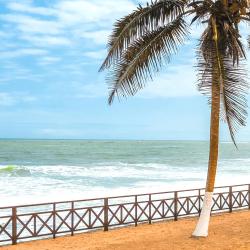 Tema Accommodation Dubai