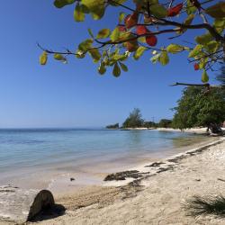 Utila Accommodation Dubai