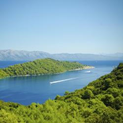 Mljet Island Accommodation Dubai
