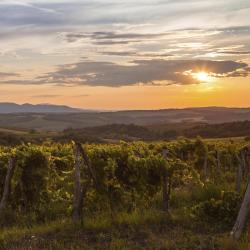 Northern Hungary Accommodation Dubai