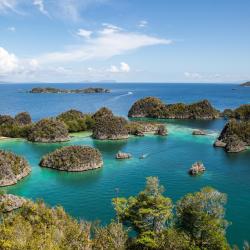 Raja Ampat Accommodation Dubai