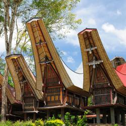 Sulawesi Accommodation Dubai