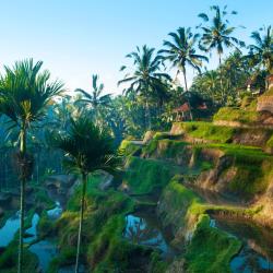 Ubud Accommodation Dubai