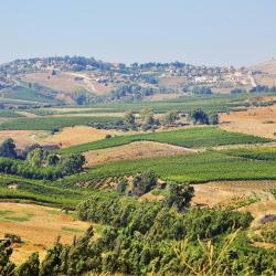 Golan Heights Accommodation Dubai