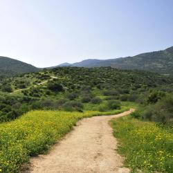 Upper Galilee Accommodation Dubai