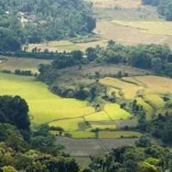Coorg Accommodation Dubai