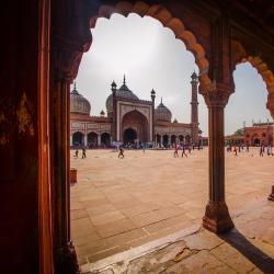 Delhi NCR Accommodation Dubai
