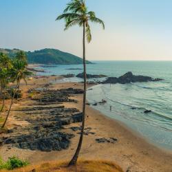 North Goa Accommodation Dubai