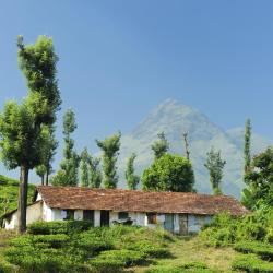 Wayanad Accommodation Dubai