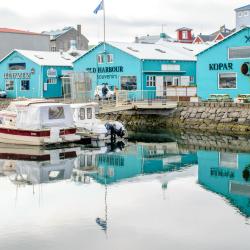Reykjavik Old Harbour, Reykjavík Accommodation Dubai