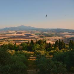 Tuscany Accommodation Dubai