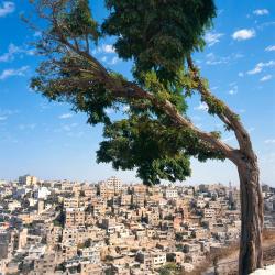 Amman Accommodation Dubai