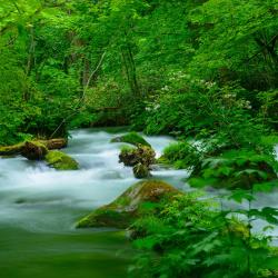 Aomori Accommodation Dubai