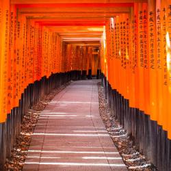 Kyoto Accommodation Dubai