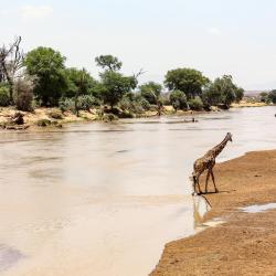 Isiolo Accommodation Dubai