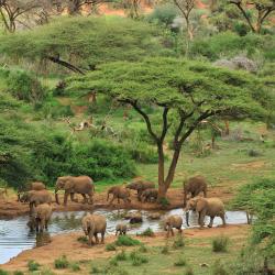 Laikipia Accommodation Dubai