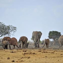 Makueni Accommodation Dubai