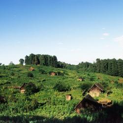 Nyeri Accommodation Dubai