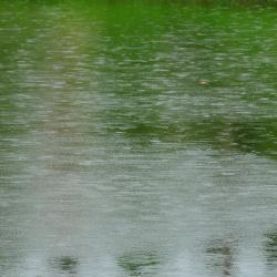 Bentota Lake, Bentota Accommodation Dubai